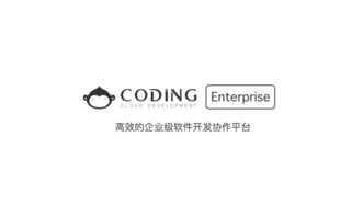 CODING推出企业级SaaS产品Coding Enterprise,想让企业级软件开发高效协作